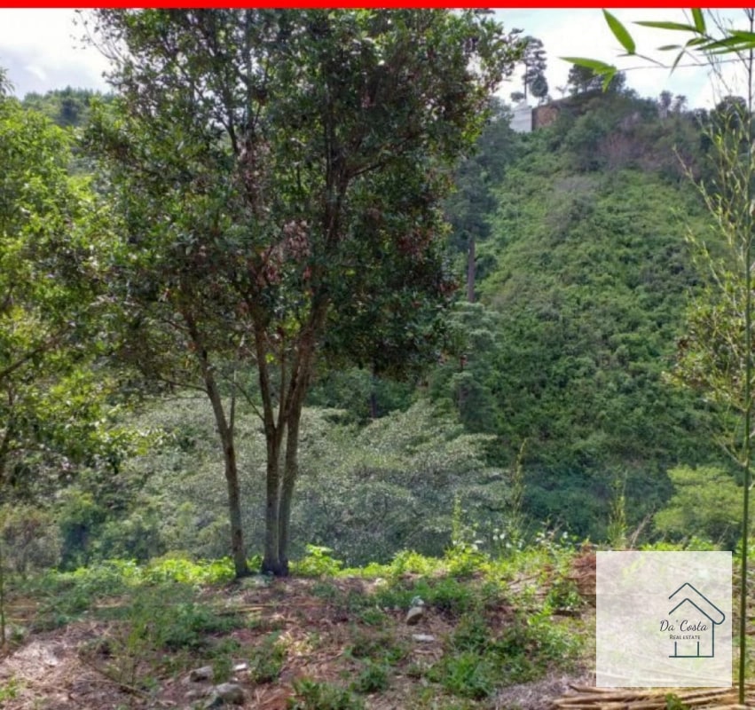 Terreno en Venta Acacias de Cayala - 4