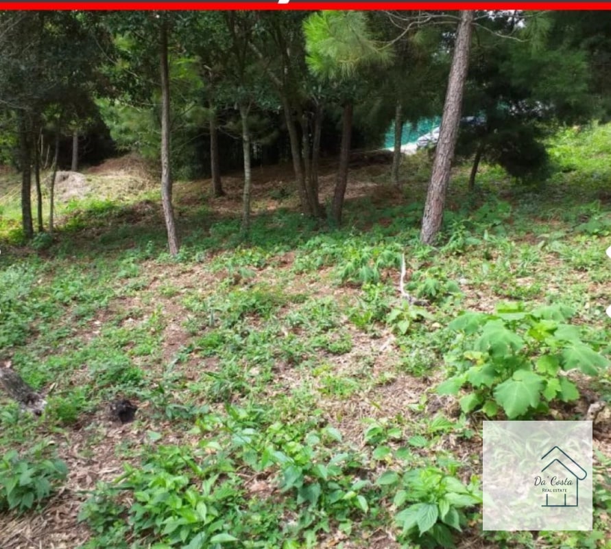 Terreno en Venta Acacias de Cayala - 3