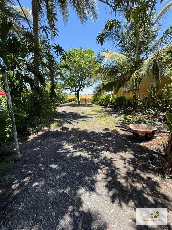 🌴 Hotel & Restaurante Atelie del Mar – Oportunidad de Inversión en Monterrico, Guatemala - 15