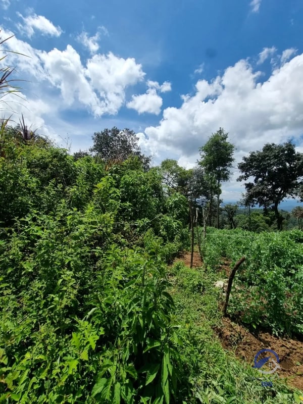 Terreno en Venta en Finca Los Manzanales, Santiago Sacatepéquez, Sacatepéquez - 7