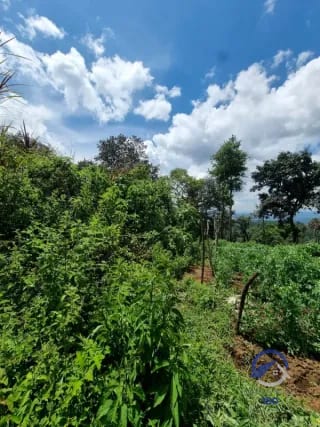 Terreno en Venta en Finca Los Manzanales, Santiago Sacatepéquez, Sacatepéquez — Terreno en Venta en Santiago Sacatepéquez, Sacatepéquez — miniatura 7 de 7