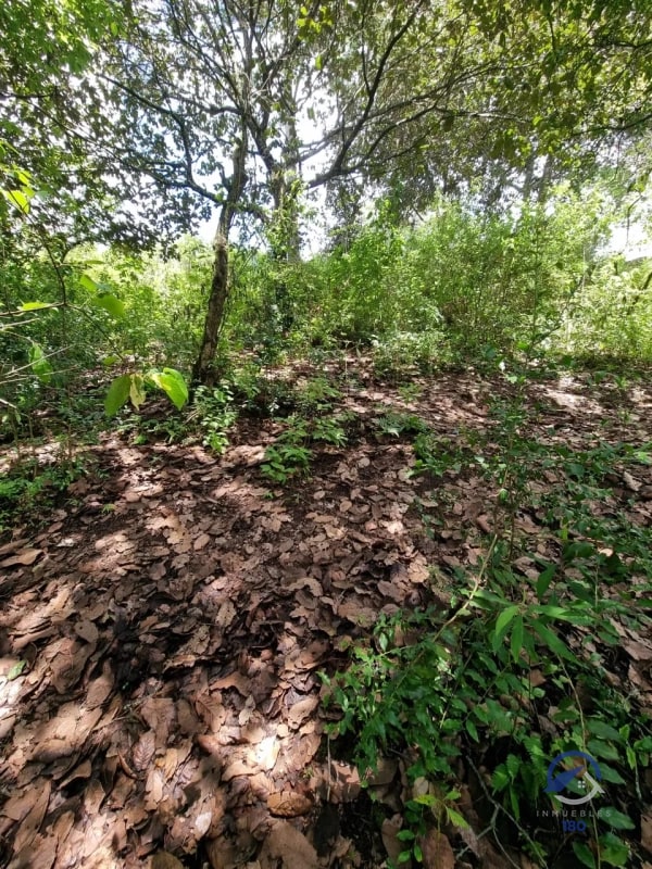 Terreno en Venta en Finca Los Manzanales, Santiago Sacatepéquez, Sacatepéquez - 6