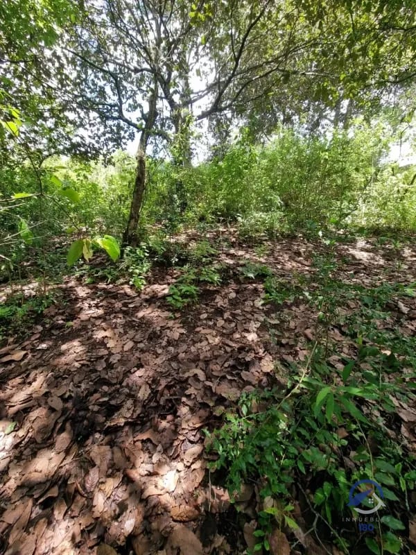 Terreno en Venta en Finca Los Manzanales, Santiago Sacatepéquez, Sacatepéquez — Terreno en Venta en Santiago Sacatepéquez, Sacatepéquez — foto 6 de 7