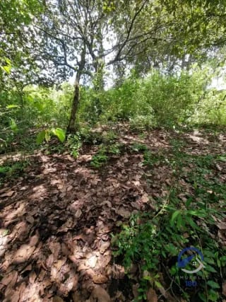 Terreno en Venta en Finca Los Manzanales, Santiago Sacatepéquez, Sacatepéquez — Terreno en Venta en Santiago Sacatepéquez, Sacatepéquez — miniatura 6 de 7