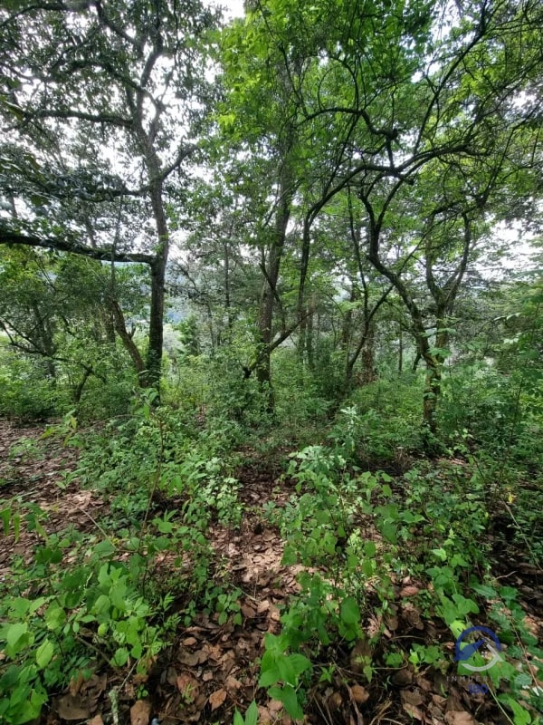 Terreno en Venta en Finca Los Manzanales, Santiago Sacatepéquez, Sacatepéquez - 5