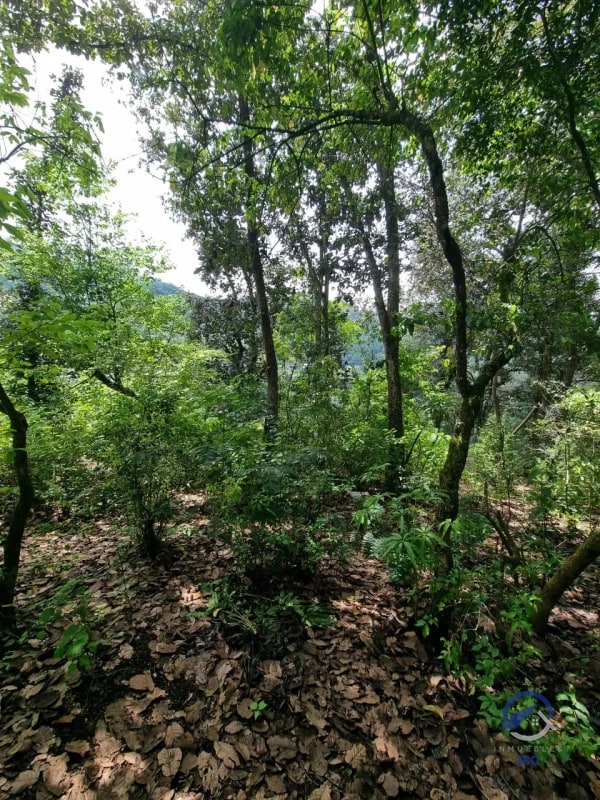 Terreno en Venta en Finca Los Manzanales, Santiago Sacatepéquez, Sacatepéquez - 4