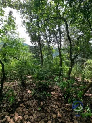 Terreno en Venta en Finca Los Manzanales, Santiago Sacatepéquez, Sacatepéquez — Terreno en Venta en Santiago Sacatepéquez, Sacatepéquez — miniatura 4 de 7