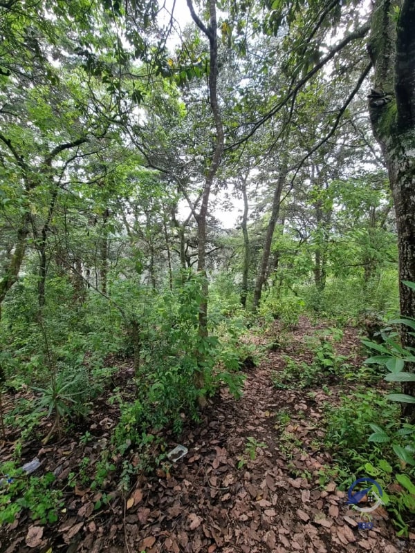 Terreno en Venta en Finca Los Manzanales, Santiago Sacatepéquez, Sacatepéquez - 3