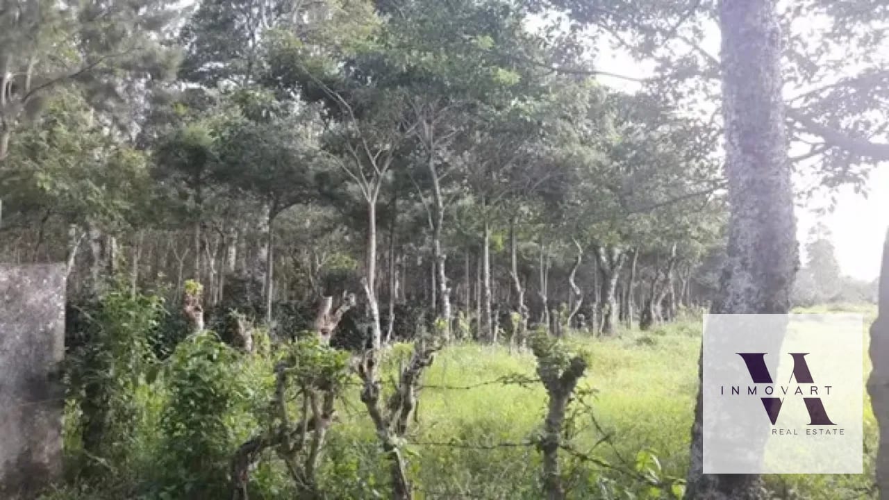 Vendo terreno en Escuintla frente a Carretera a Siquinala — Terreno en Venta en Escuintla, Escuintla — foto 6 de 6