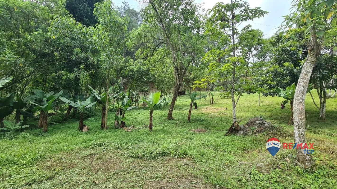 TERRENO COMERCIAL DE 1 MANZANA ENTRADA DE COBÁN, ALTA VERAPAZ - 4