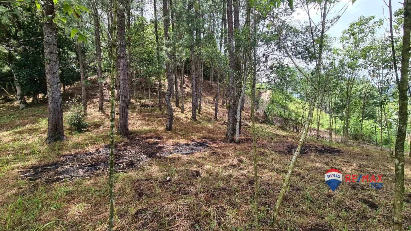 TERRENO COMERCIAL DE 1 MANZANA  ENTRADA DE COBÁN, ALTA VERAPAZ - 3