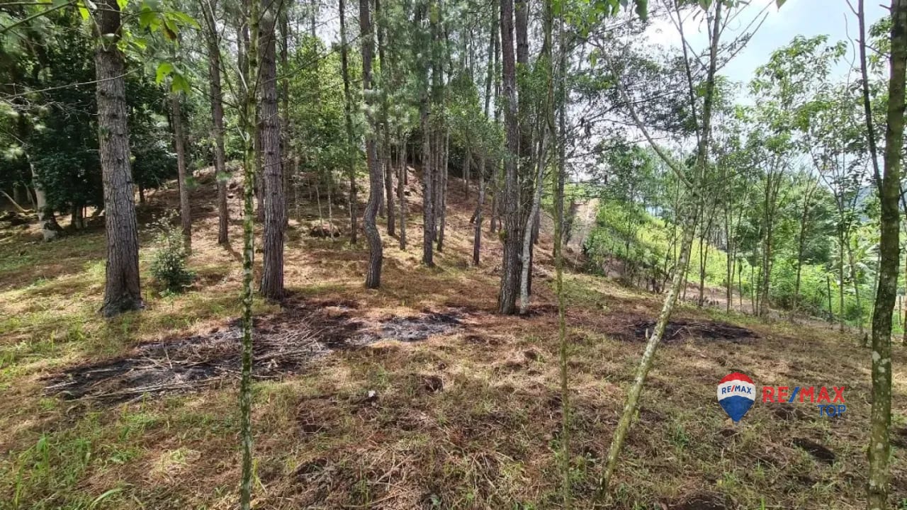 TERRENO COMERCIAL DE 1 MANZANA  ENTRADA DE COBÁN, ALTA VERAPAZ — Terreno en Venta en Cobán, Alta Verapaz — foto 3 de 4