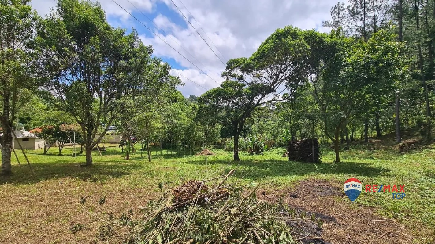 TERRENO COMERCIAL DE 1 MANZANA ENTRADA DE COBÁN, ALTA VERAPAZ - 2