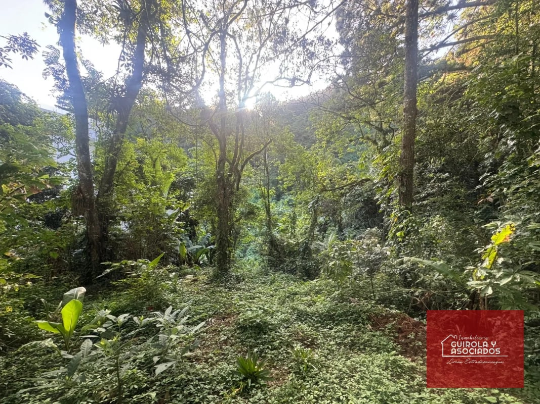 TERRENOS EN VENTA EN STA ROSALIA - 1