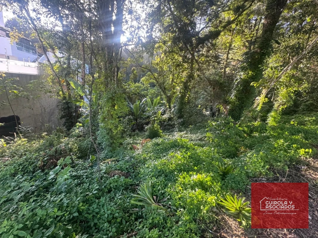 TERRENOS EN VENTA EN STA ROSALIA - 4