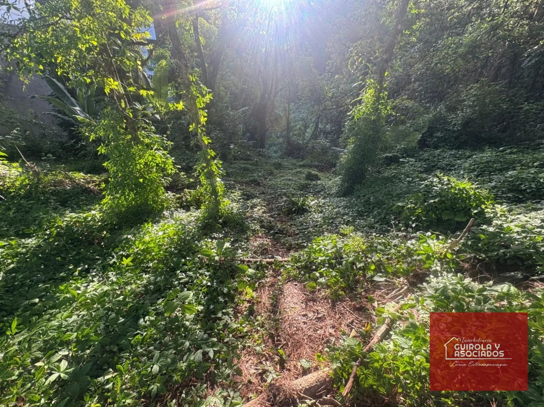 TERRENOS EN VENTA EN STA ROSALIA - 3