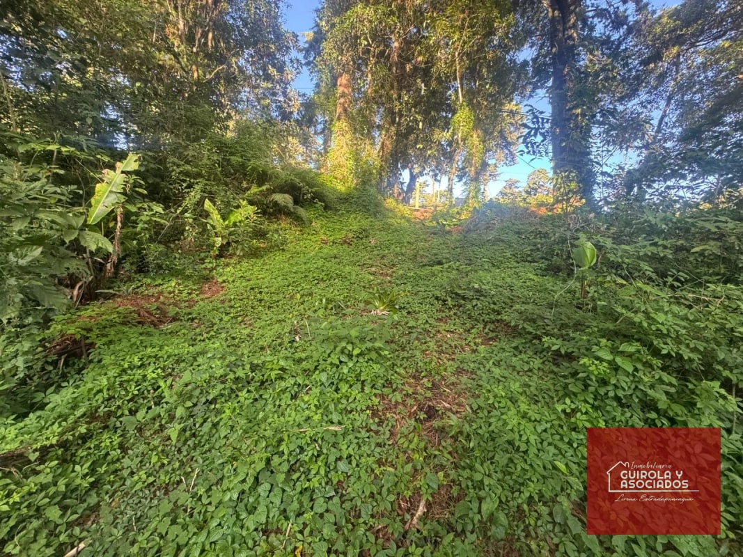 TERRENOS EN VENTA EN STA ROSALIA - 2