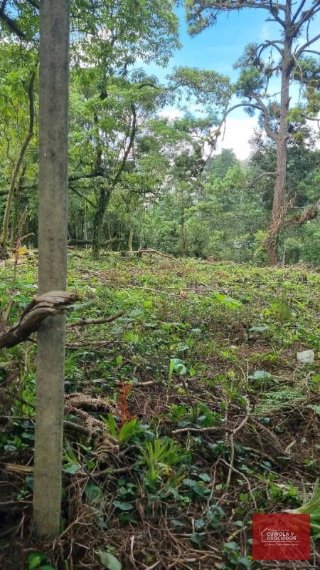 TERRENO EN VENTA EN STA ROSALIA - 1