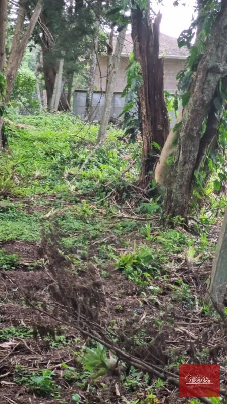 TERRENO EN VENTA EN STA ROSALIA - 2