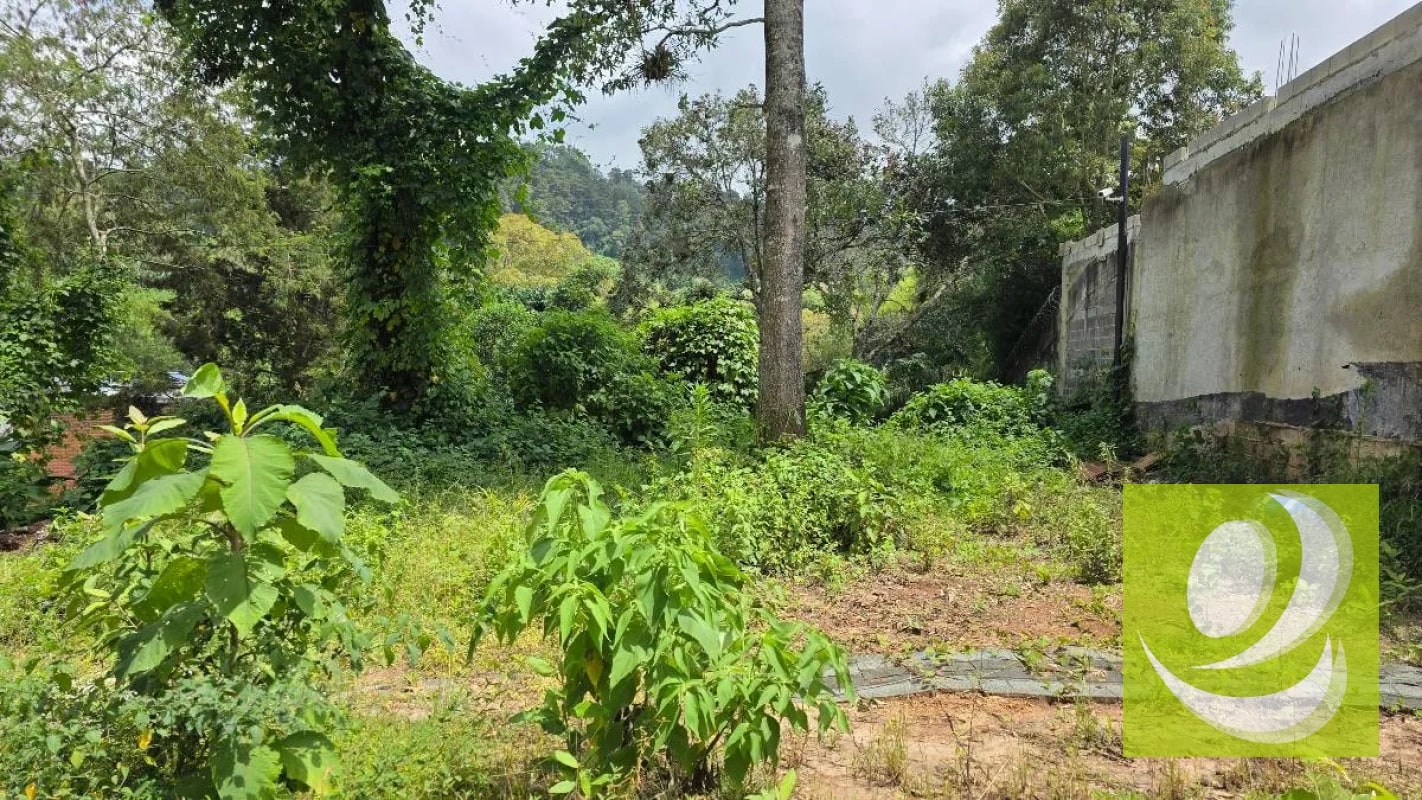 TERRENO EN VENTA EN LA MONTAÑA ZONA 16 - 3