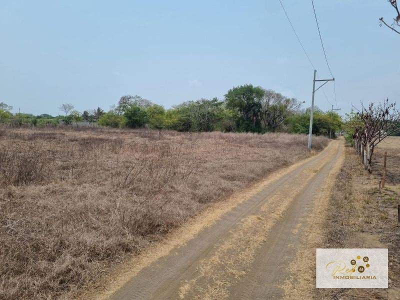 VENTA TERRENOS EN MONTERRICO - 2