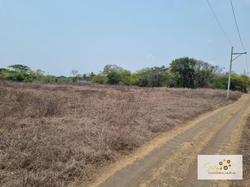VENTA TERRENOS EN MONTERRICO - 3
