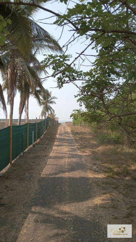 VENTA TERRENOS EN MONTERRICO - 1