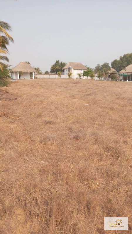 VENTA TERRENOS EN MONTERRICO - 5