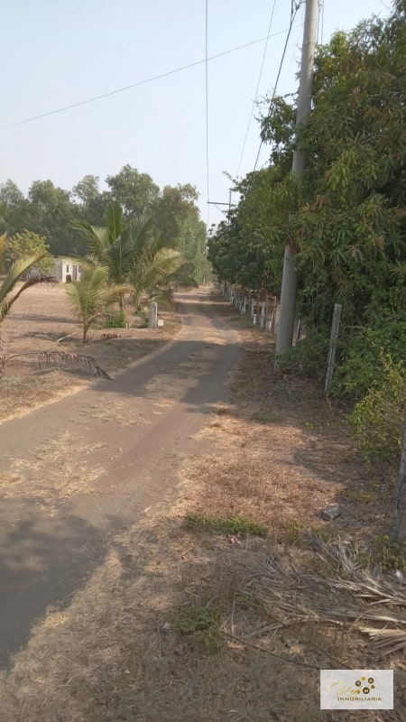 VENTA TERRENOS EN MONTERRICO - 7