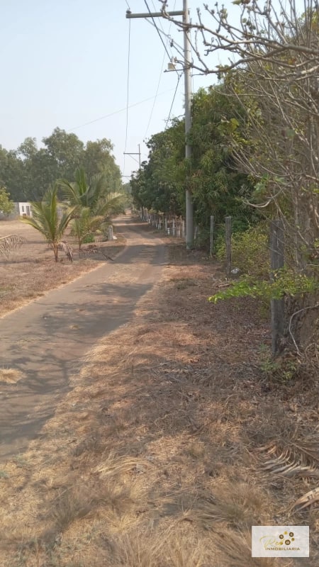 VENTA TERRENOS EN MONTERRICO - 8