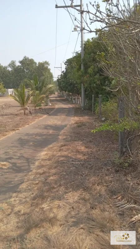 VENTA TERRENOS EN MONTERRICO — Terreno en Venta en Villas de Monterrico, Monterrico, Santa Rosa — foto 8 de 11