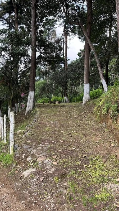 Terreno en VENTA Santa Lucia Milpas Altas con Excelentes Vistas — Terreno en Venta en Santa Lucía Milpas Altas, Sacatepéquez — foto 5 de 9