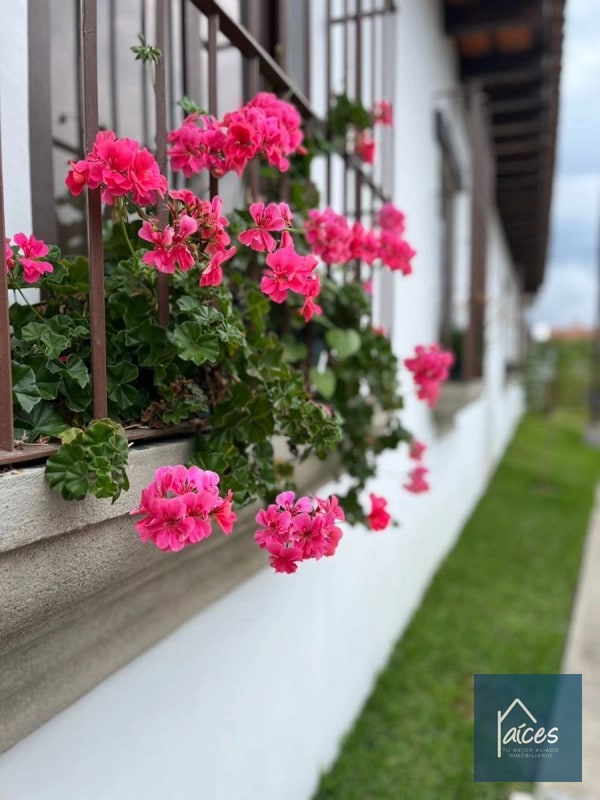 Casa PERLA en venta CLUB RES. LOS FRANCISCANOS ANTIGUA (D) - 8