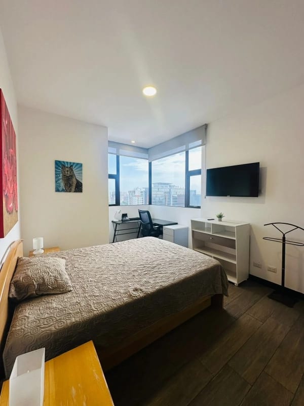 Apartamento Venta Zona 10 — Apartamento en Alquiler en Diagoseis, Zona 10, Guatemala, Ciudad — foto 3 de 6