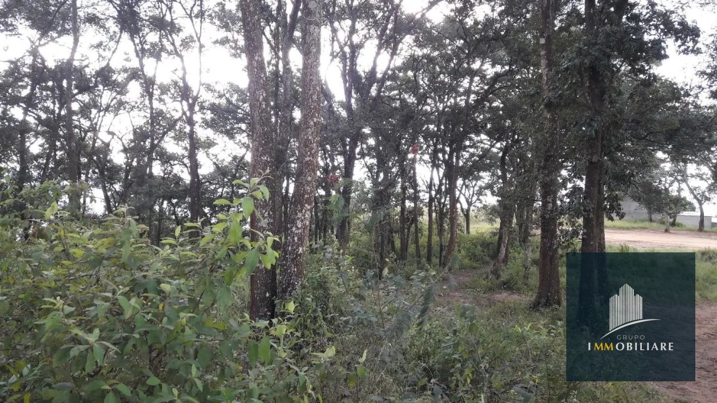 Terreno plano en venta zona 18 para desarrollo - 9
