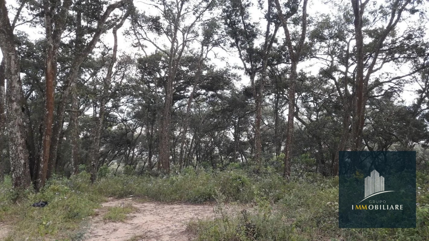 Terreno plano en venta zona 18 para desarrollo - 3