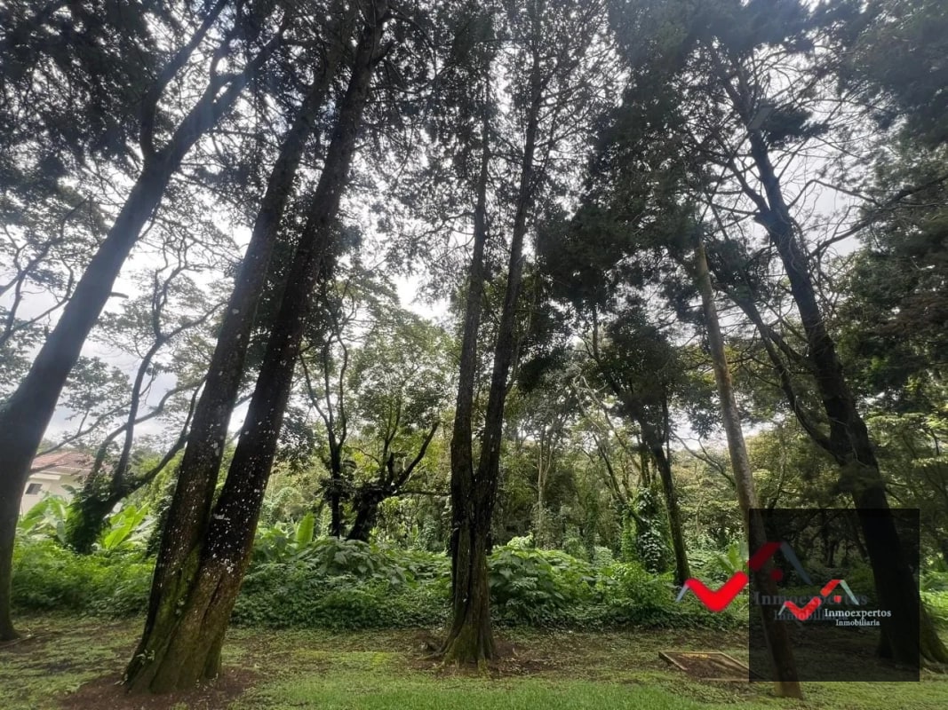 Terreno en venta Carretera a el Salvador km 22.5 Residencial Premier Campestre - 7
