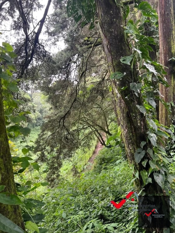 Terreno en venta Carretera a el Salvador km 22.5 Residencial Premier Campestre - 6
