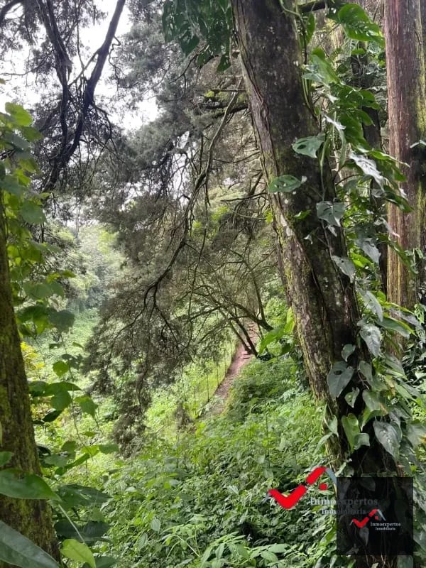 Terreno en venta Carretera a el Salvador km 22.5 Residencial Premier Campestre — Terreno en Venta en Premier Campestre, Carretera a El Salvador, Guatemala, Ciudad — foto 6 de 11