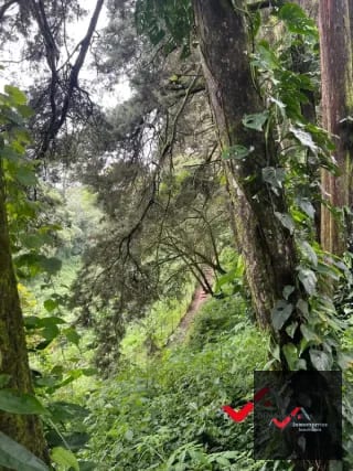 Terreno en venta Carretera a el Salvador km 22.5 Residencial Premier Campestre — Terreno en Venta en Premier Campestre, Carretera a El Salvador, Guatemala, Ciudad — miniatura 6 de 11