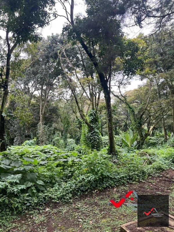 Terreno en venta Carretera a el Salvador km 22.5 Residencial Premier Campestre - 5