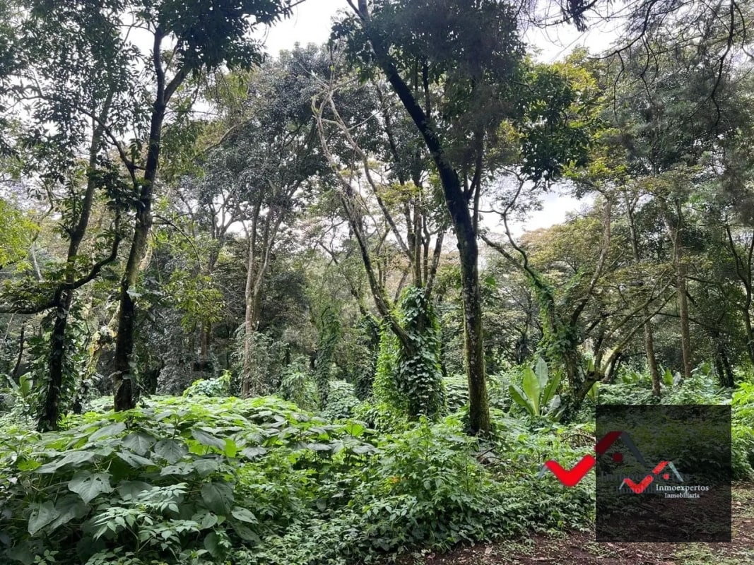 Terreno en venta Carretera a el Salvador km 22.5 Residencial Premier Campestre - 3