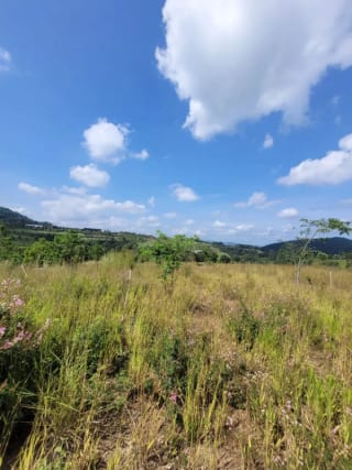 Vendo Terreno en EL PULTÉ zona 16 — Terreno en Venta en El Pulté Ecuestre, Zona 16, Guatemala, Ciudad — miniatura 1 de 8