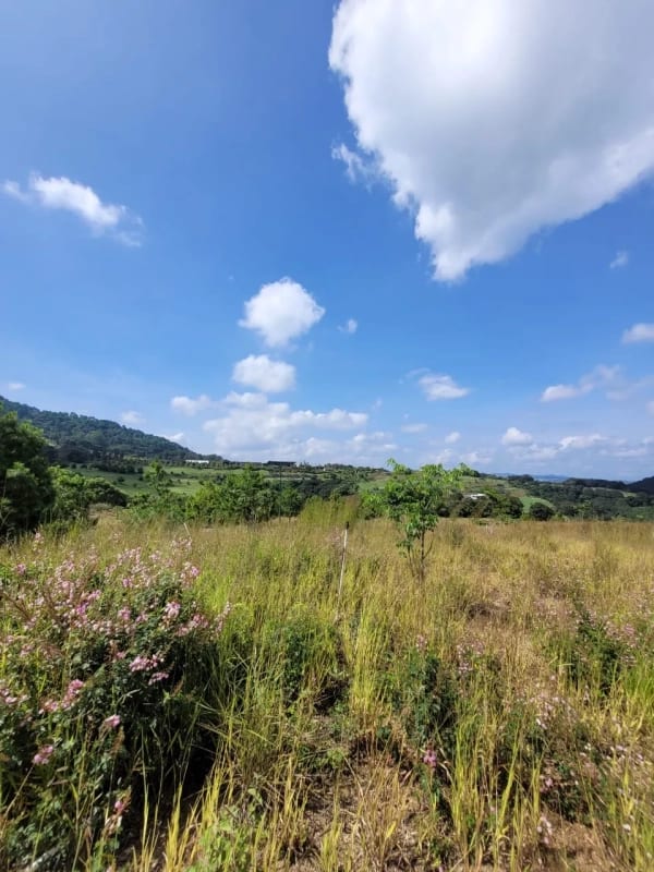 Vendo Terreno en EL PULTÉ zona 16 — Terreno en Venta en El Pulté Ecuestre, Zona 16, Guatemala, Ciudad — foto 2 de 8