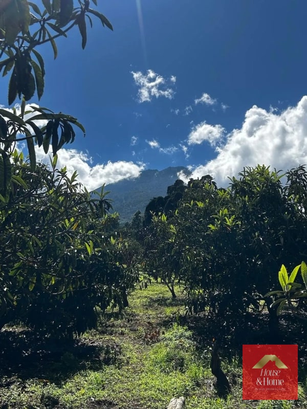 TERRENO EN VENTA SAN JUAN DEL OBISPO / Antigua Guatemala - 3