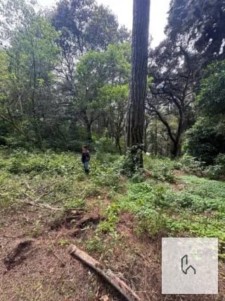 Venta de Terreno en San Juan Sacatepequez — Terreno en Venta en San Juan Sacatepéquez, Sacatepéquez — miniatura 1 de 5