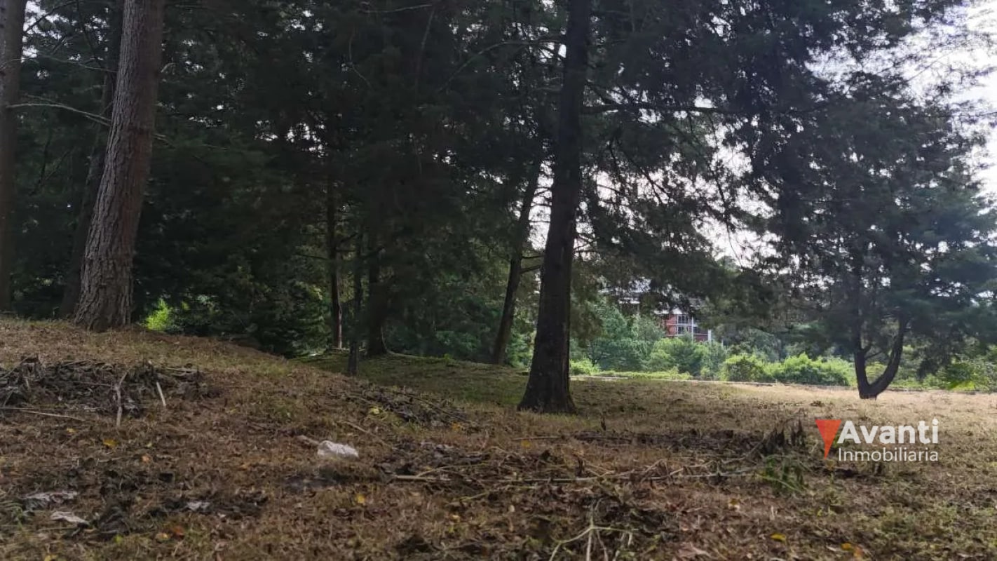 VENTA TERRENO CARRETERA A EL SALVADOR, KM.9 IDEAL PROYECTO CASAS - 8