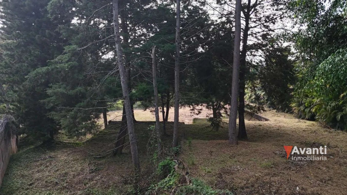 VENTA TERRENO CARRETERA A EL SALVADOR, KM.9 IDEAL PROYECTO CASAS - 7