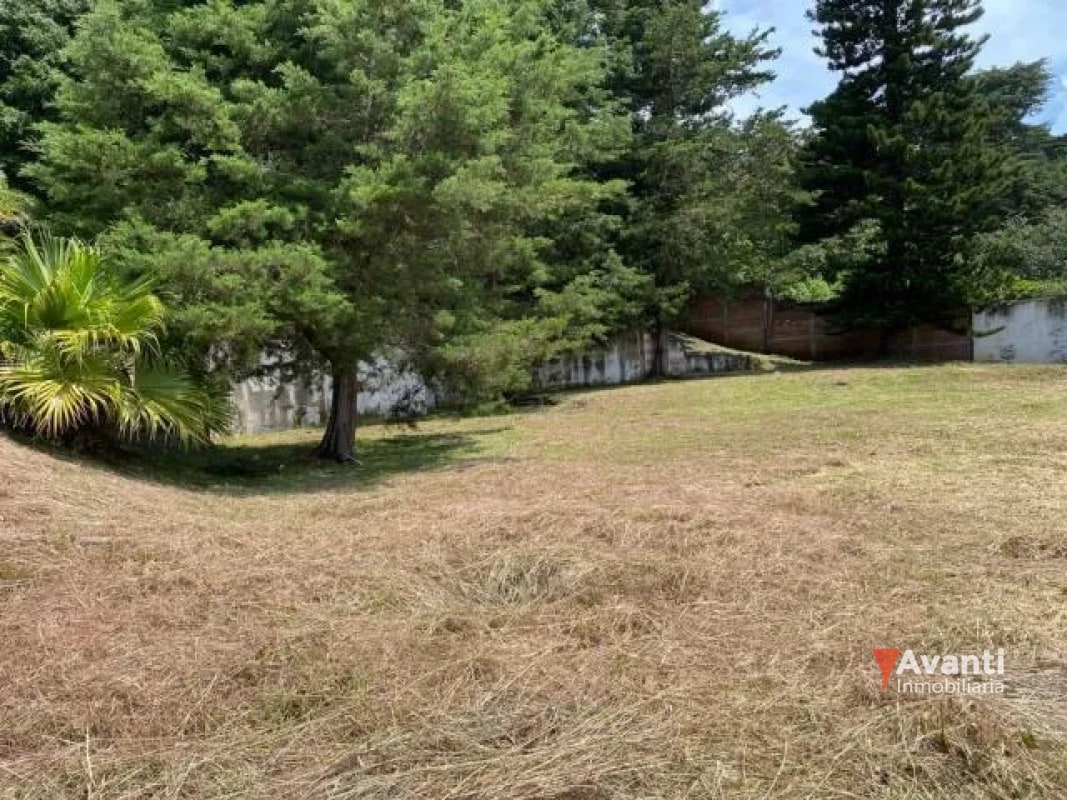 VENTA TERRENO CARRETERA A EL SALVADOR, KM.9 IDEAL PROYECTO CASAS - 4