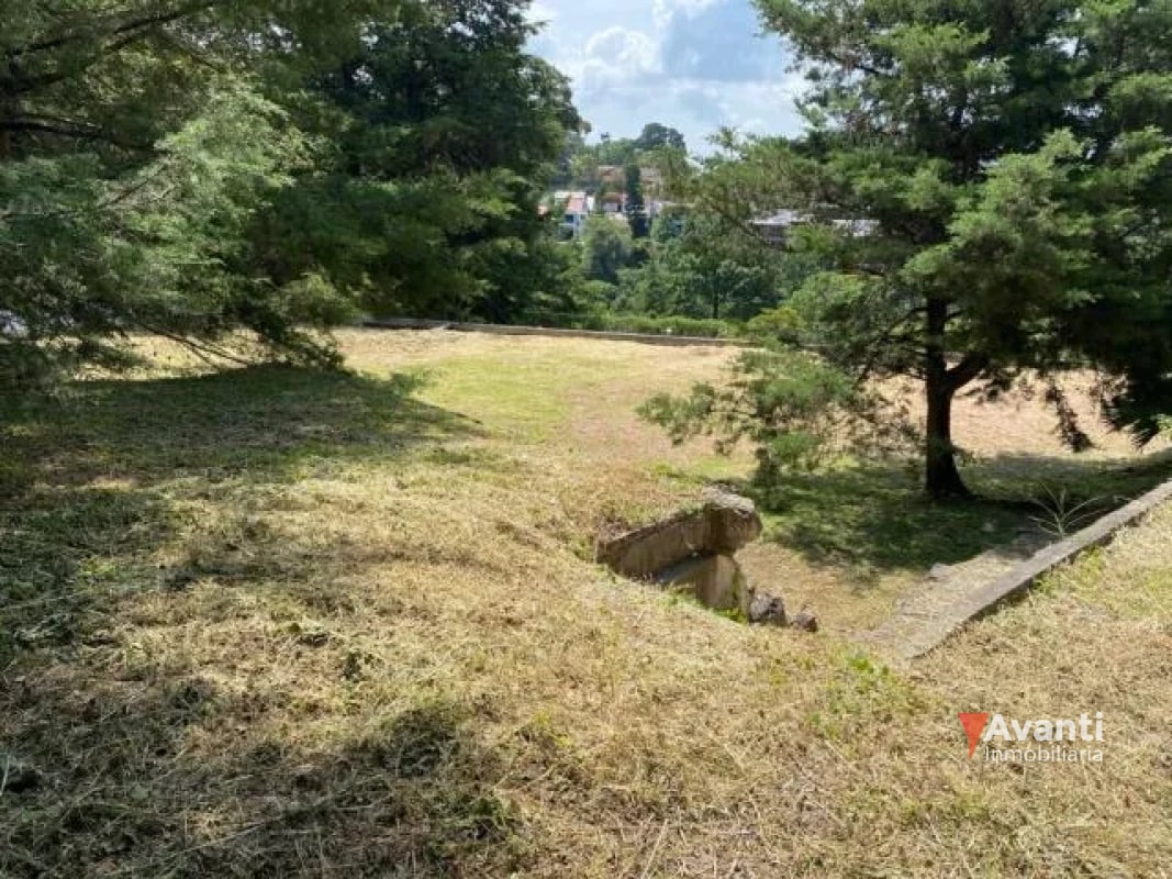 VENTA TERRENO CARRETERA A EL SALVADOR, KM.9 IDEAL PROYECTO CASAS - 3